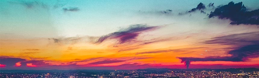 毕节茶虫网_毕节品茶